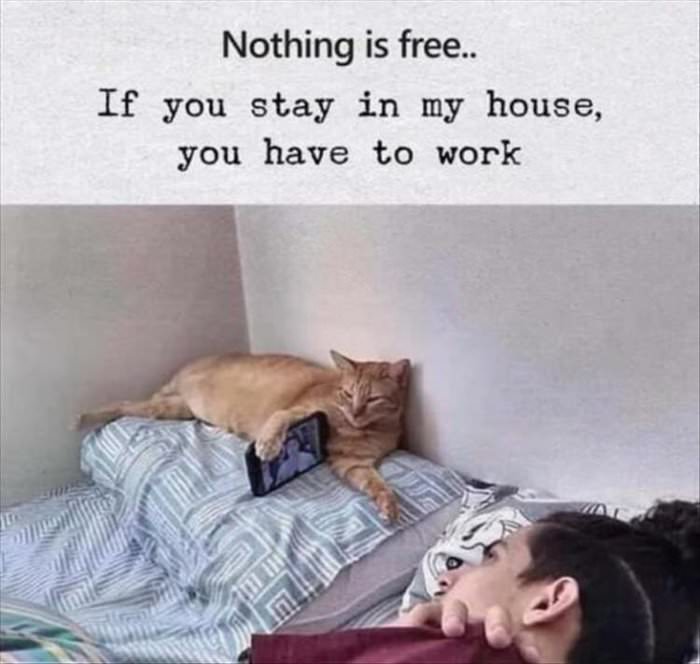 nothing is free