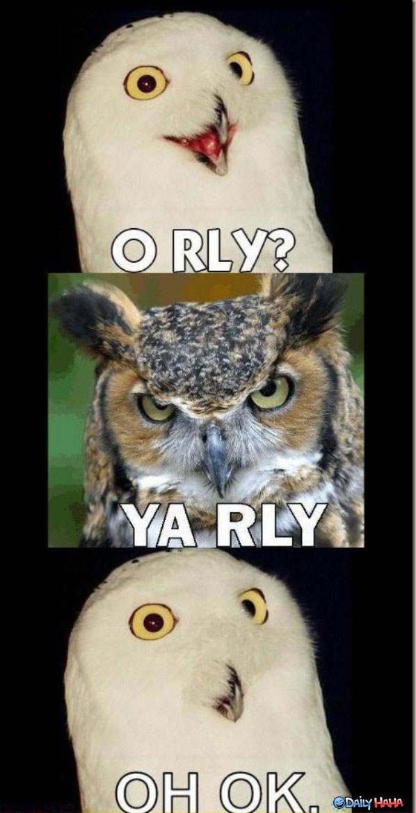 O RLY funny picture