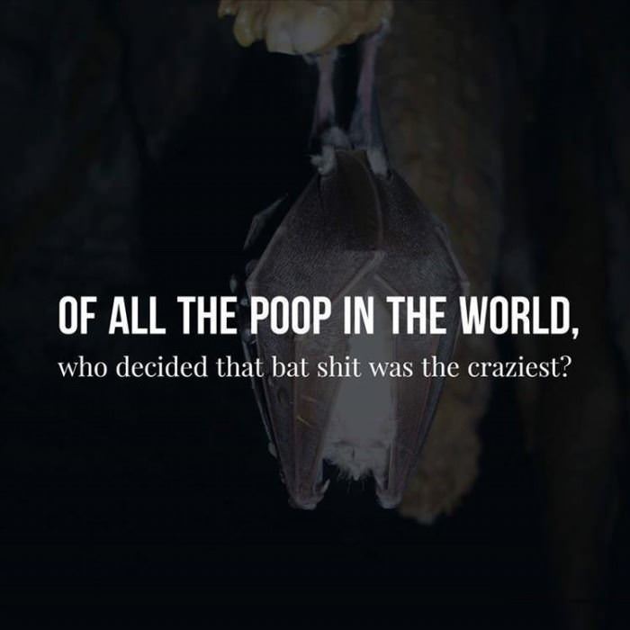 of all the poops funny picture