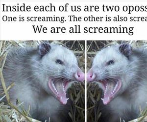 one screaming the other screaming