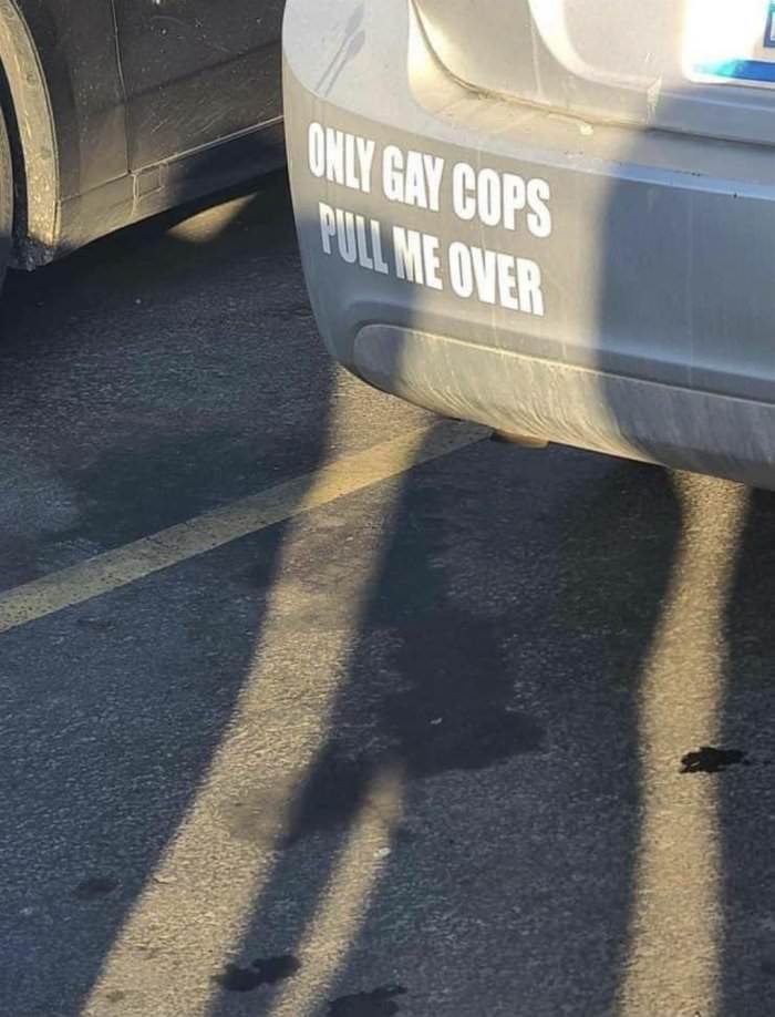 only gay cops