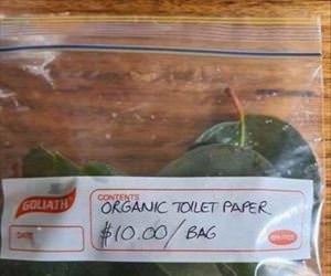 organic toilet paper