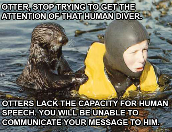 Otter Communication Pic