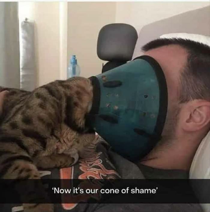 our cone of shame