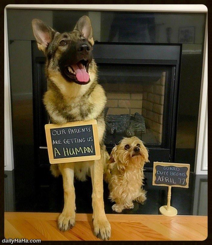 our parents are getting us a human funny picture