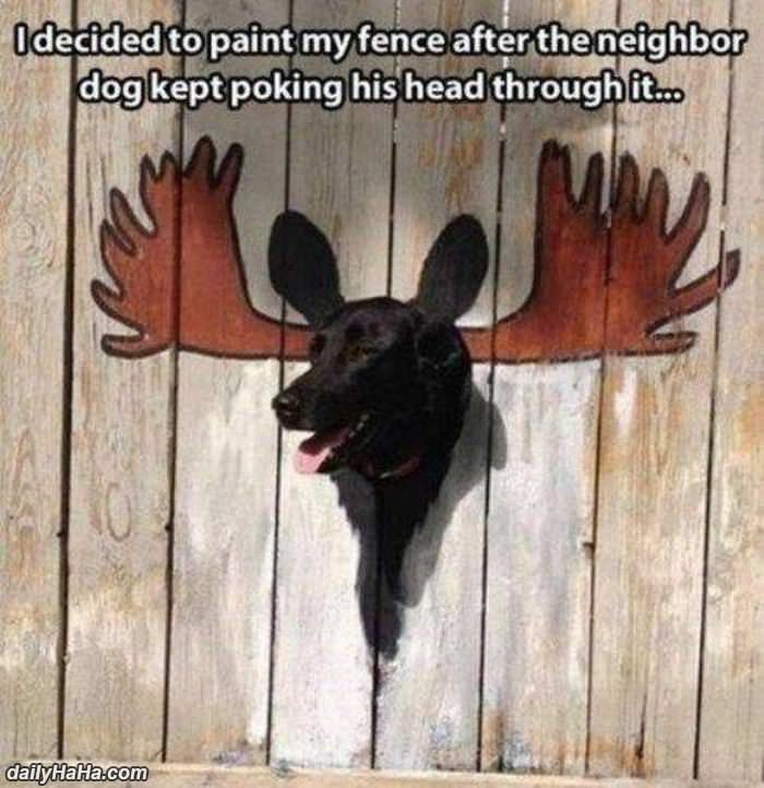 painted my fence funny picture