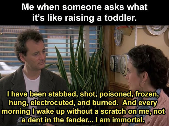 parents-of-toddlers-are-like