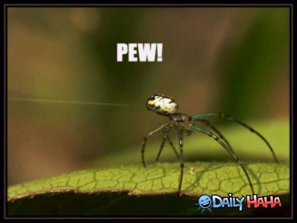 Pew Pew funny picture