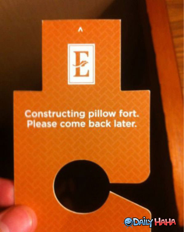 Pillow Fort funny picture