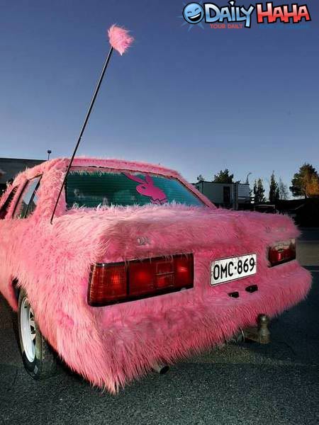 Pink Furry Car