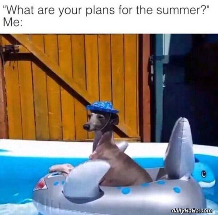 plans for the summer funny picture