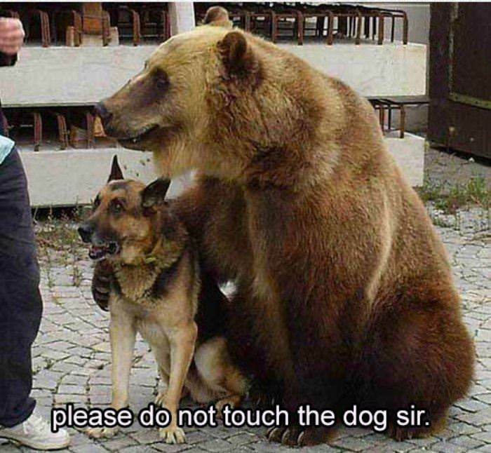 please do not touch funny picture