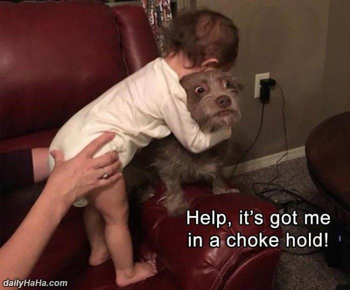 please_help_me9911 Please Help Me dudes