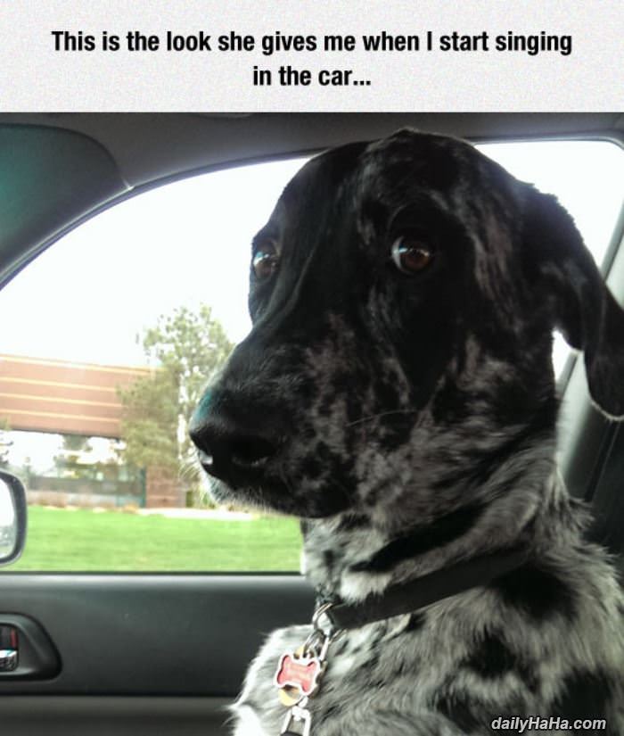 Please Stop Singing