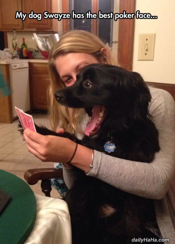 poker face funny picture