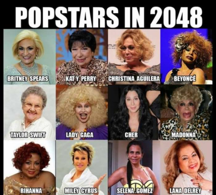 popstars in 2048 funny picture