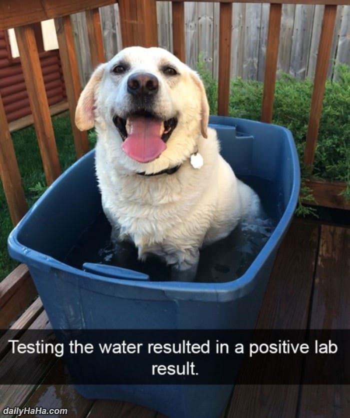 positive lab result funny picture
