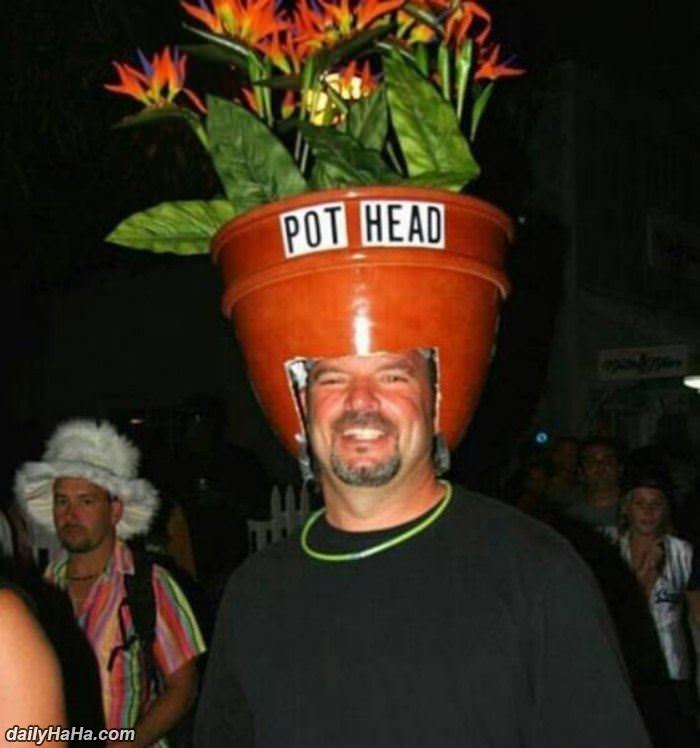 pot head funny picture