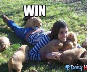 Puppy Wins funny picture