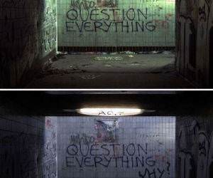 Question everything funny picture