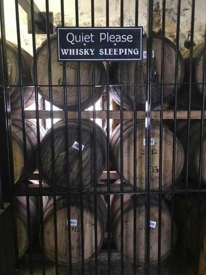 quiet please our whiskey is sleeping