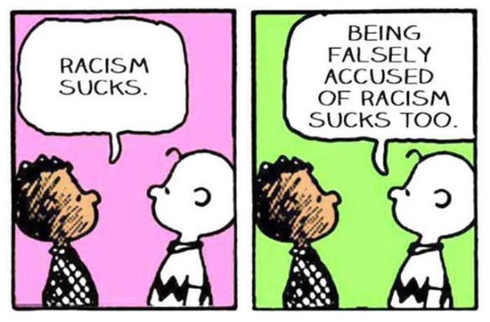racism sucks funny picture