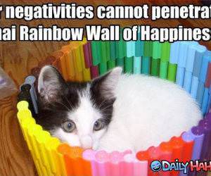 Happy Rainbow funny picture