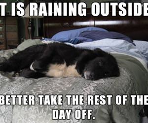 raining outside funny picture