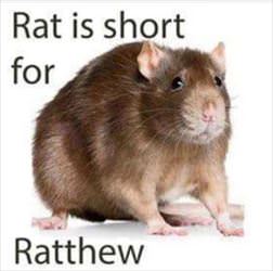 rat is my nickname