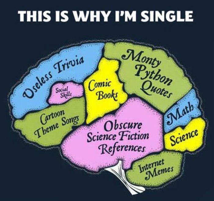 reasons i am single funny picture