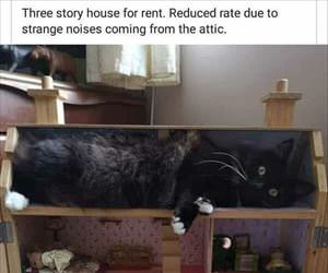 reduced rent