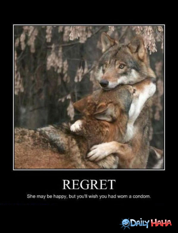 Regrets funny picture