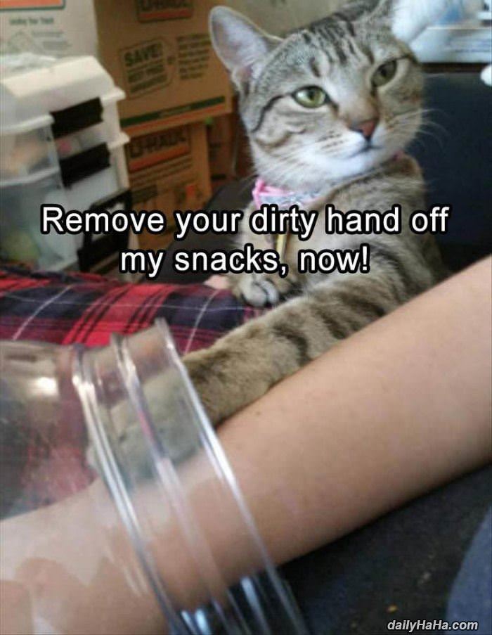 remove your hand funny picture
