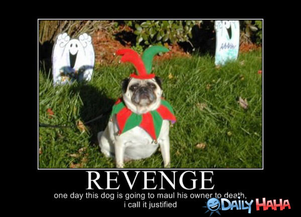 Revenge funny picture