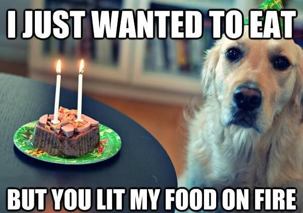 Sad Birthday Dog funny picture