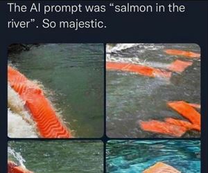 salmon in the river