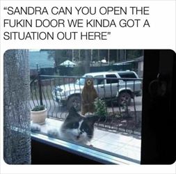 sandra open the door