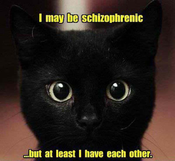 Schizophrenic Cat funny picture