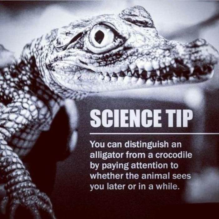 science tip ... 2