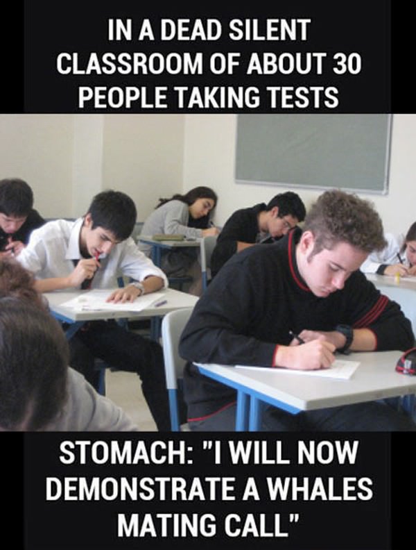 Scumbag Stomach funny picture