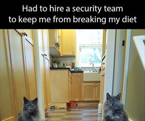 security team