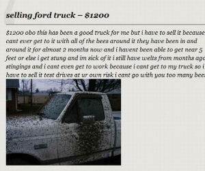 Ford Truck For Sale funny picture