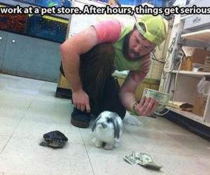 Serious Pet Store funny picture