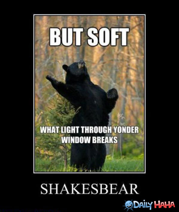 Shakesbear funny picture