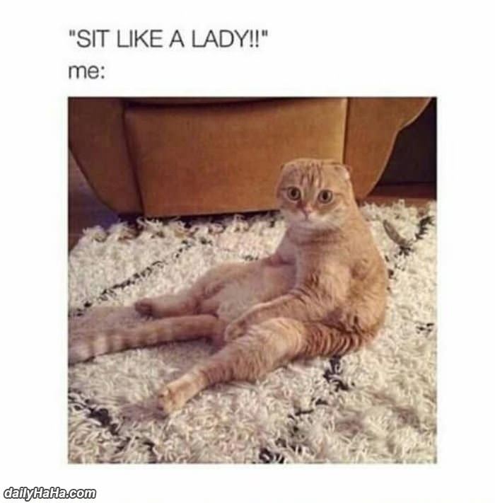 site like a lady funny picture