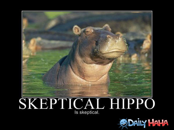 Skeptical Hippo funny picture