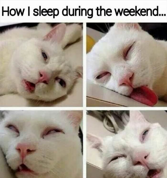 sleeping on the weekend