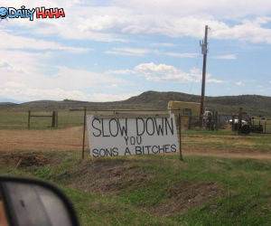 Slow Down funny picture