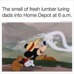 smell of fresh lumber