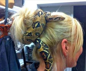 snake hair